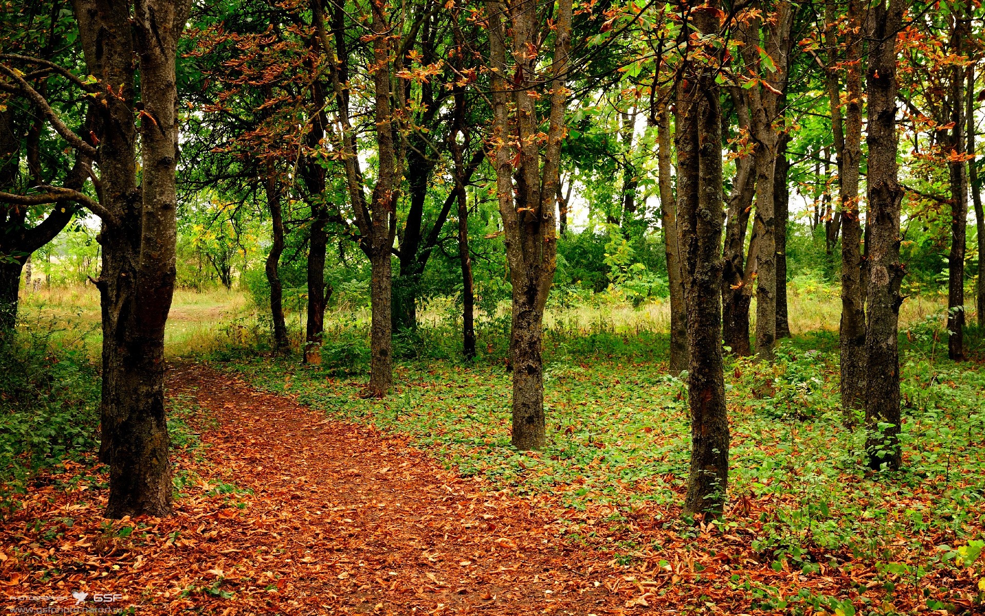 临门一脚先生，当佩德里在奥运周期接管比赛，巴萨的困境与波兰的狂胜之间藏着什么秘密？