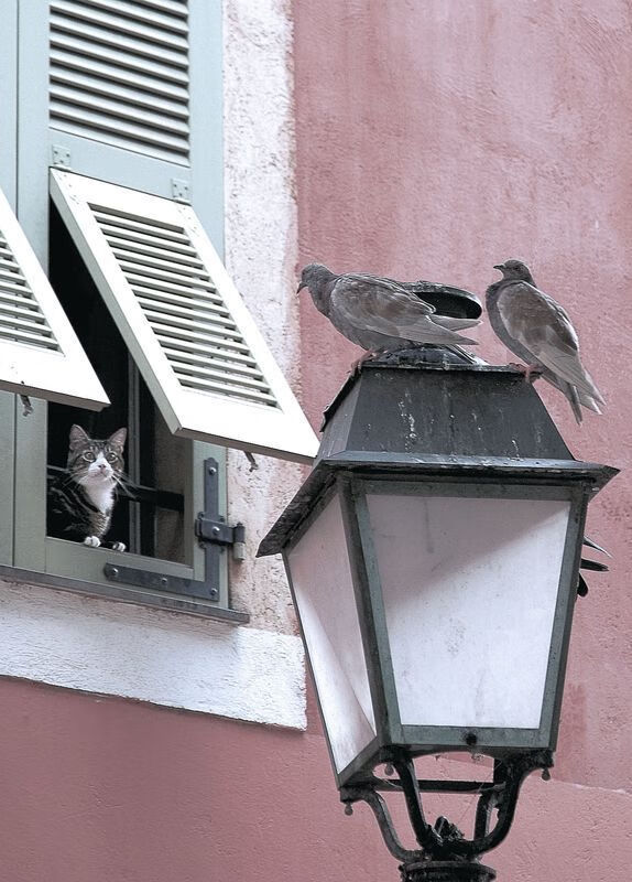 绿茵唯一性,当贝蒂斯遇见乌拉圭,金玟哉用铁血防守定义非典型高光