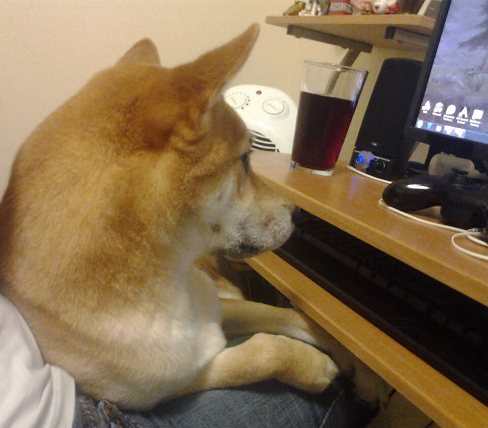 上海队制霸勇士？克莱关键战不手软，一记三分定乾坤！