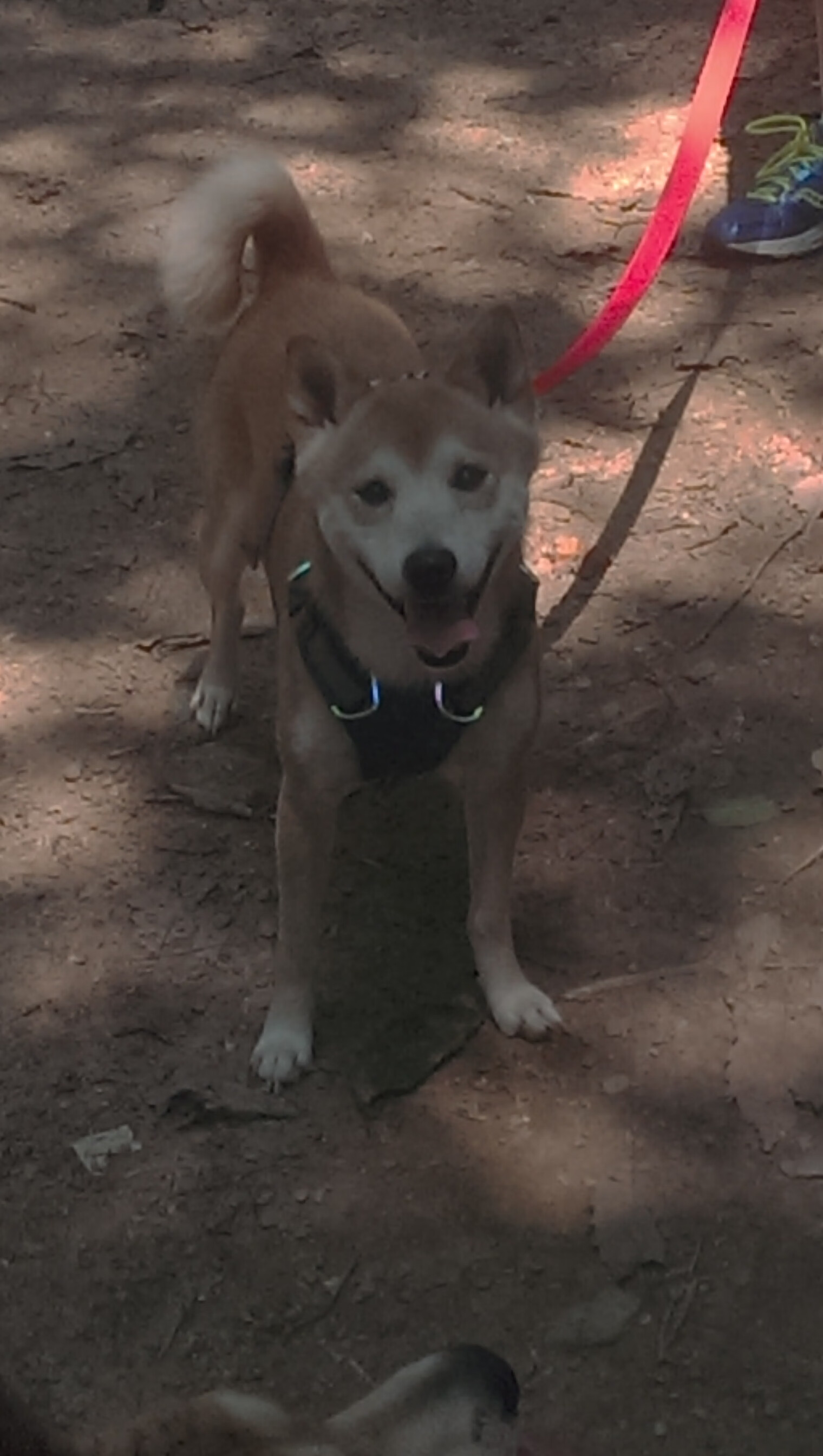 当平行时空错位，那个单骑破长城的东方巨人