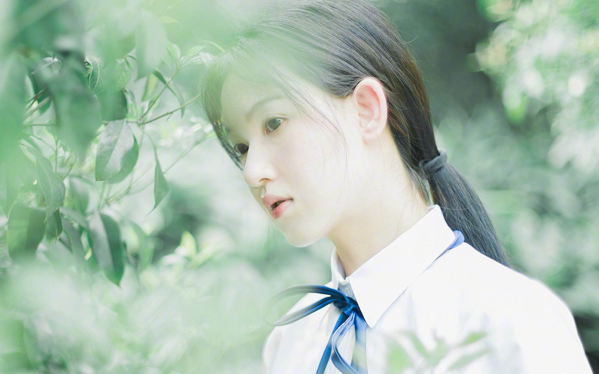 开云体育登录-跨界传奇，国际米兰终结安哥拉之战与伊布在美加墨世界杯的统治时刻