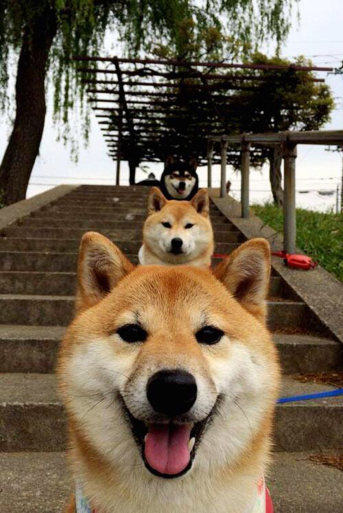 吉林军团以整体协作筑铜墙铁壁 范弗利特关键时刻主宰比赛节奏