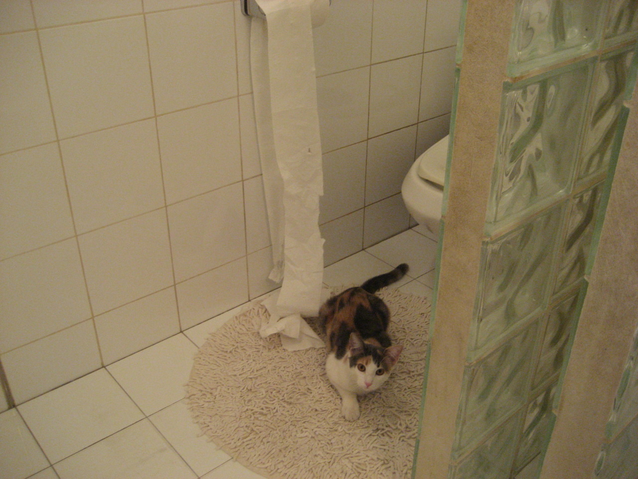 绿茵场上的猛龙时刻,从西甲德比看顶级较量的速胜哲学