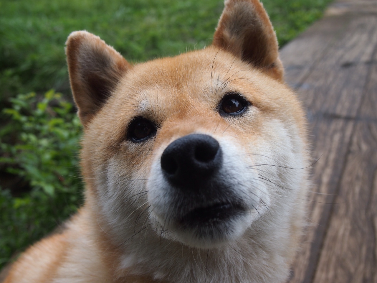 开云体育中国-指挥官与舞者，莫兰特如何在非典型胜利中写下教科书范本