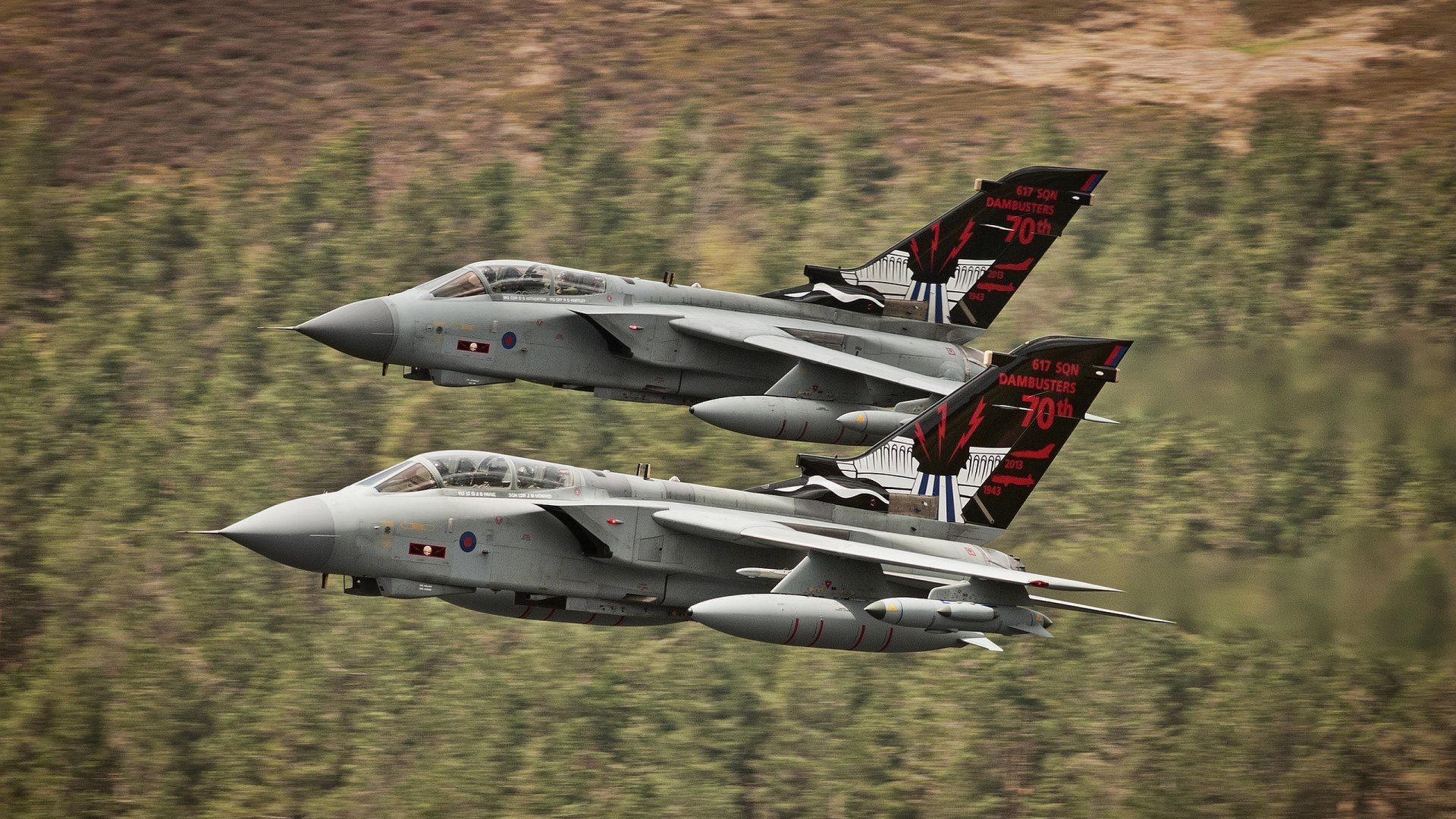 跨越时空的胜者之心,广东鏖战告捷,霍勒迪总决赛封神