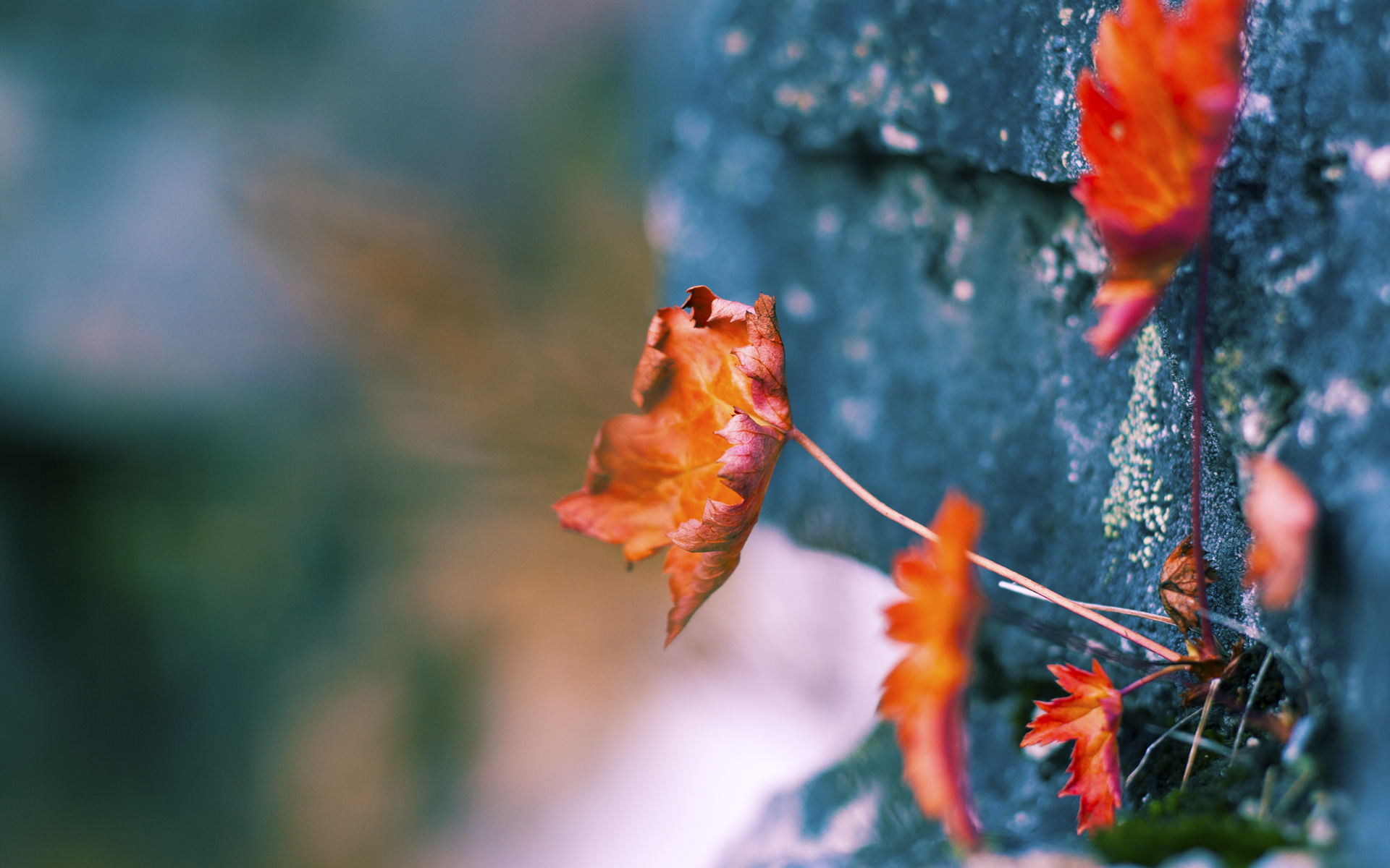 开云体育APP下载-唯一性的传奇，哈登总决赛接管，独行侠轻取勇士