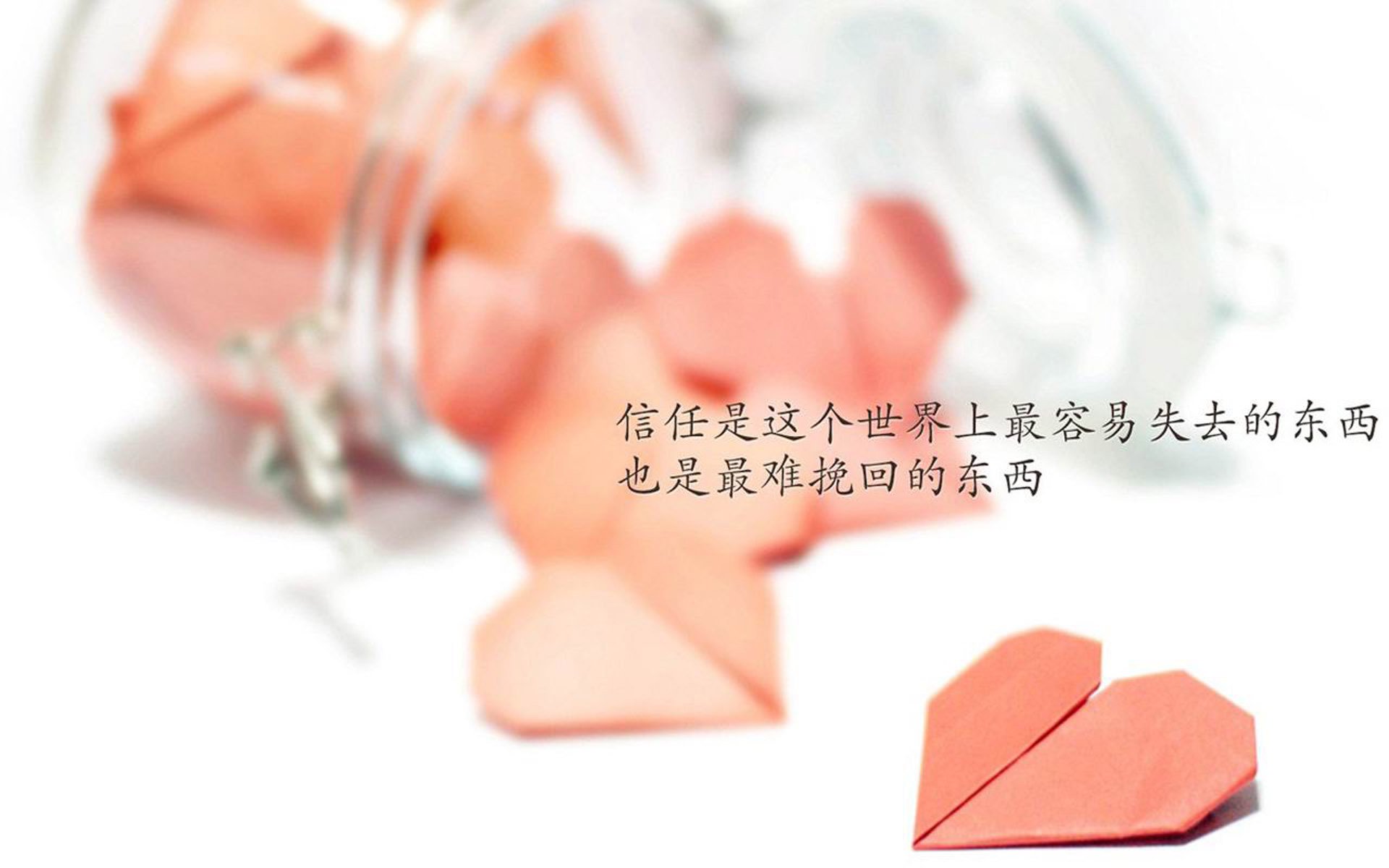 复仇的火焰与归化的刀锋,塔雷米双响炮,美国力克尼日利亚,2026世界杯关键战封神