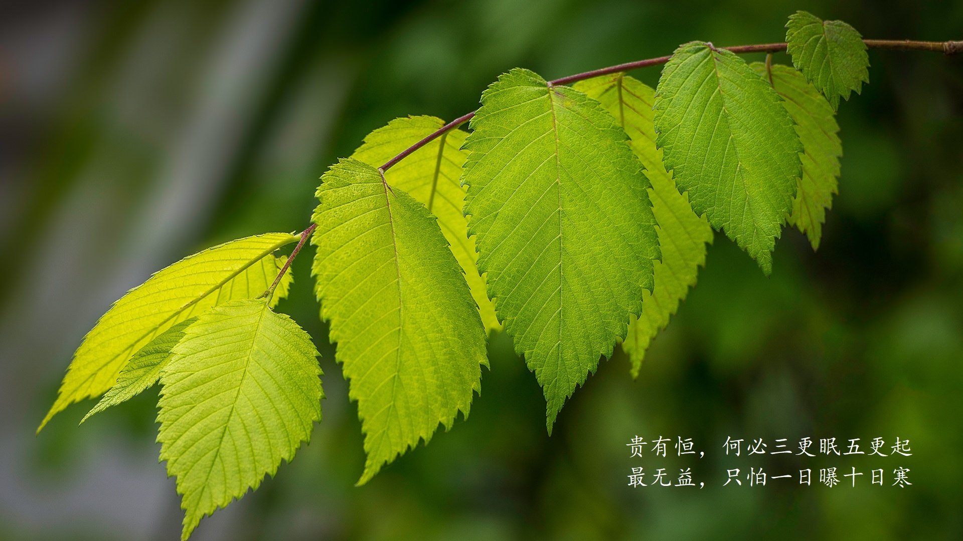 开云体育登录-B费执掌越南帅印，2026世界杯C组，一场用数据破译伊朗的冷门奇迹