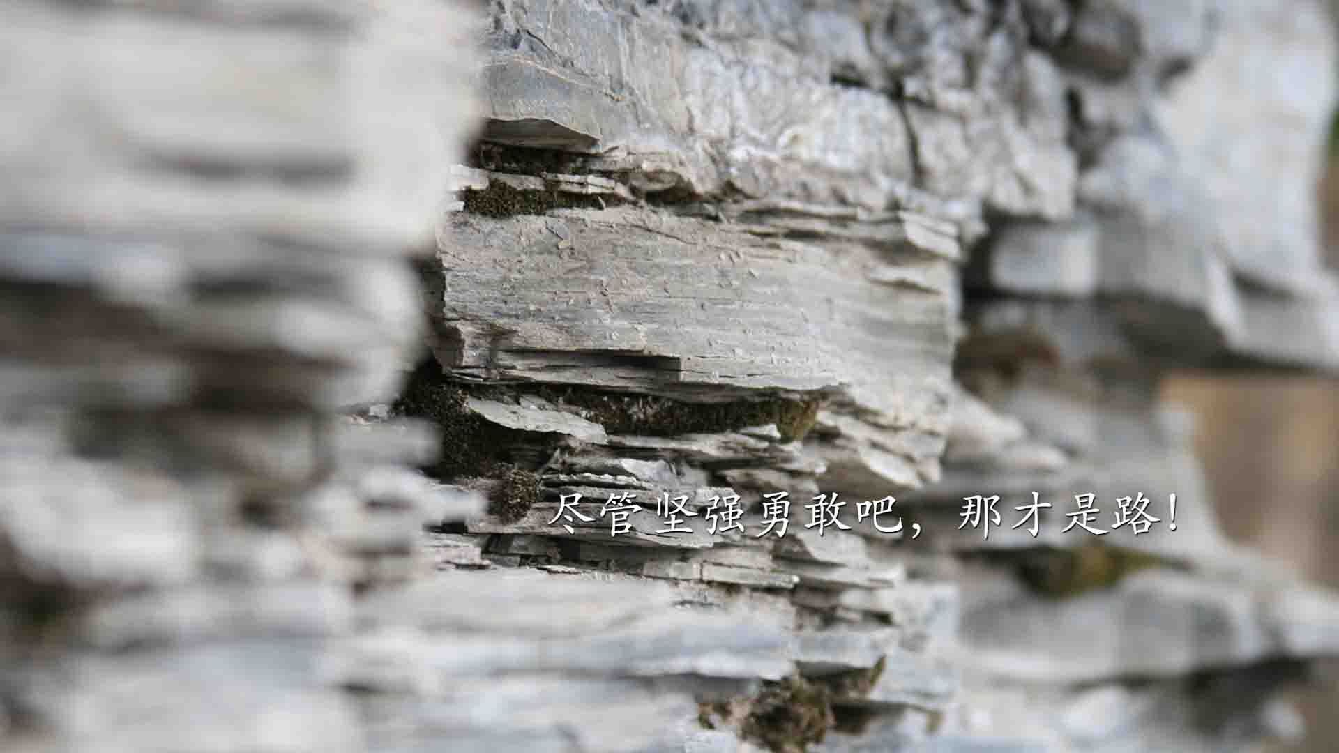 热血与钢铁的交响,2026世界杯E组焦点战,波兰力克保加利亚,福登孤胆英雄主导