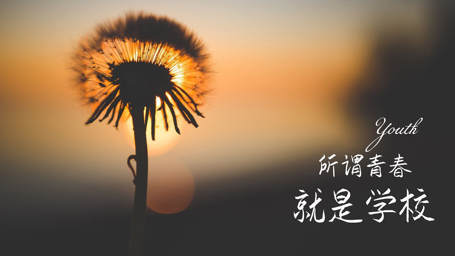 北极光下的冷血风暴,当德布劳内用一记降维打击让玛雅足球的神话在2026年A组褪色